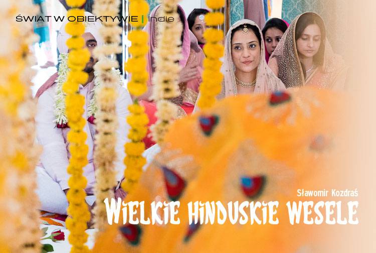 Losowy darmowy artykuł